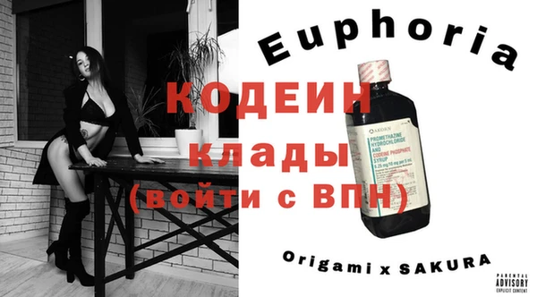 стаф Ельня