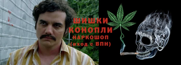 дурь Вяземский