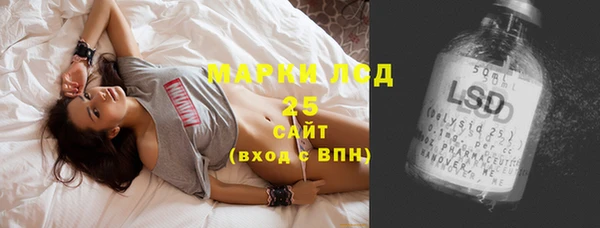 крисы Вязьма