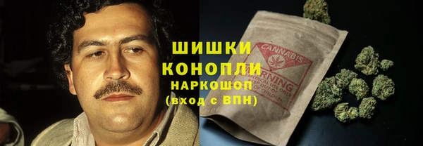 крисы Вязьма