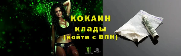 крисы Вязьма