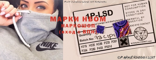 крисы Вязьма