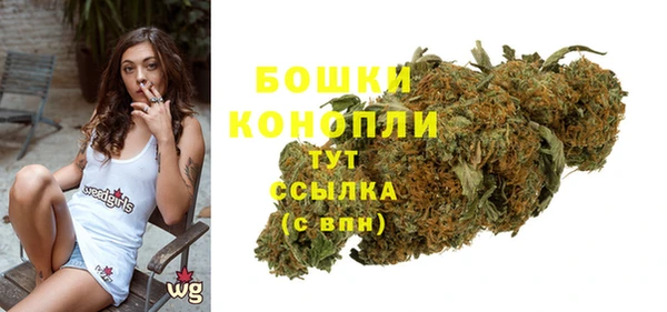 дурь Вяземский
