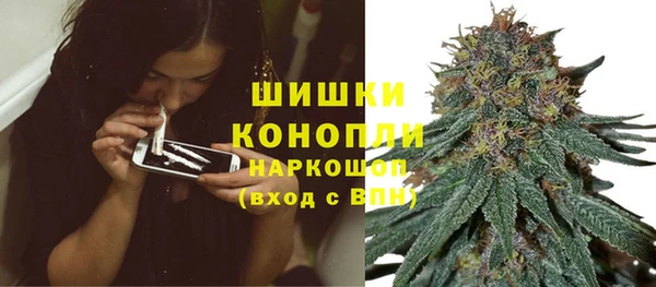 крисы Вязьма