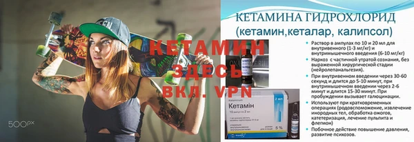 крисы Вязьма